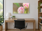Blush Double Tulips floral canvas print on the wall of a study