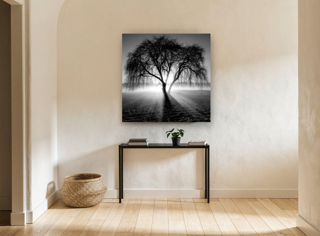Backlit Weeping Willow landscape canvas print on the wall of a hallway