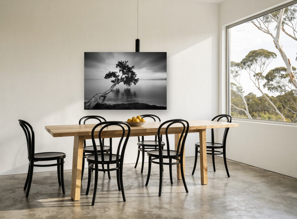 Leaning Tree Stillness coastal canvas print on the wall of a dining room