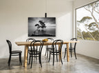 Leaning Tree Stillness coastal canvas print on the wall of a dining room