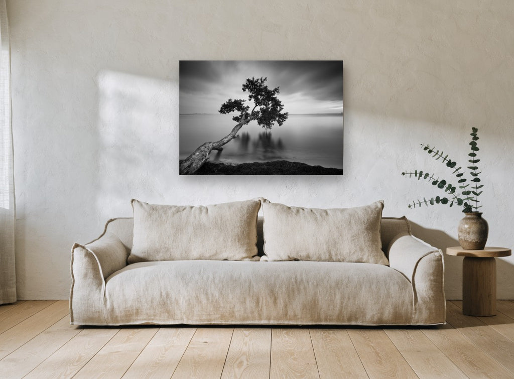 Leaning Tree Stillness coastal canvas print on the wall of a living room