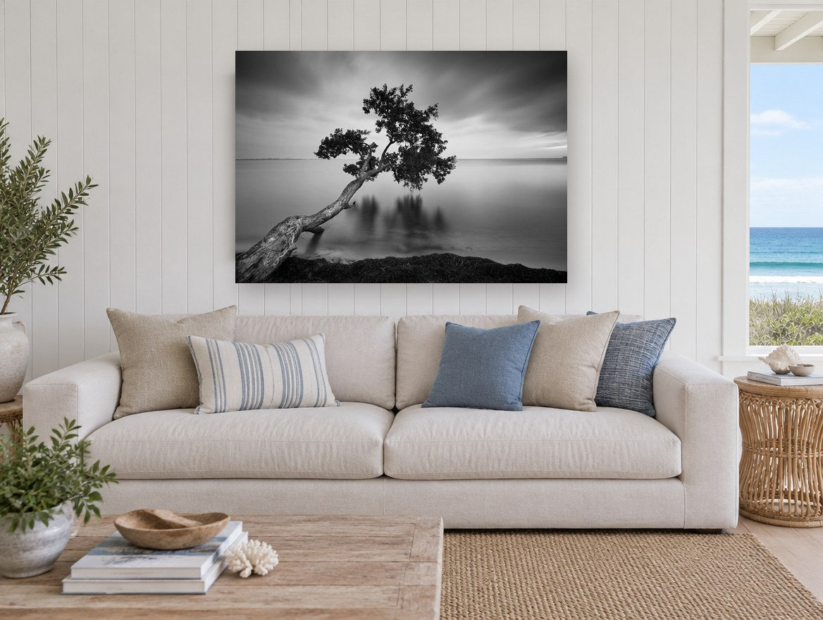 Leaning Tree Stillness coastal canvas print on the wall of a beach house living room