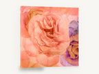 Apricot Rose Reverie, peach rose layered floral photograph, floral canvas wall art print ready to hang
