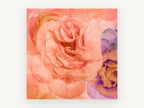 Apricot Rose Reverie, floral canvas wall art print, front view
