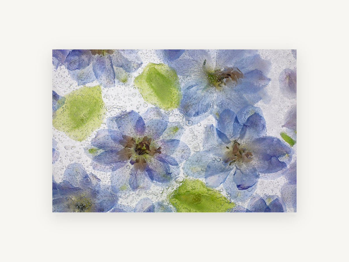 Delphiniums in Ice, floral canvas wall art print, front view