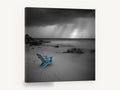 Blue Chair Storm Beach, blue beach chair stormy black and white, coastal canvas wall art print ready to hang