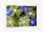 Frozen Garden Blooms, green and blue flowers frozen in ice, floral canvas wall art print ready to hang
