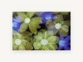 Frozen Garden Blooms, floral canvas wall art print, front view