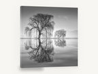 Willow Mirror, black and white willow reflection photograph, landscape canvas wall art print ready to hang