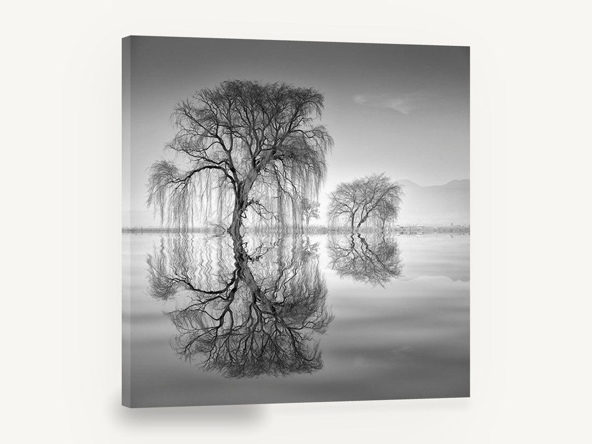 Willow Mirror, black and white willow reflection photograph, landscape canvas wall art print ready to hang