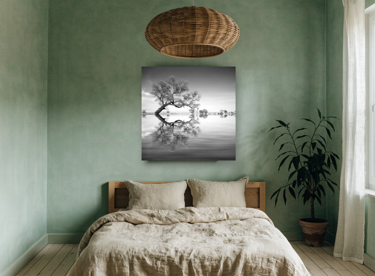 Leaning Tree Mirror landscape canvas print on the wall of a bedroom