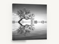 Leaning Tree Mirror, black and white tree reflection photograph, landscape canvas wall art print ready to hang