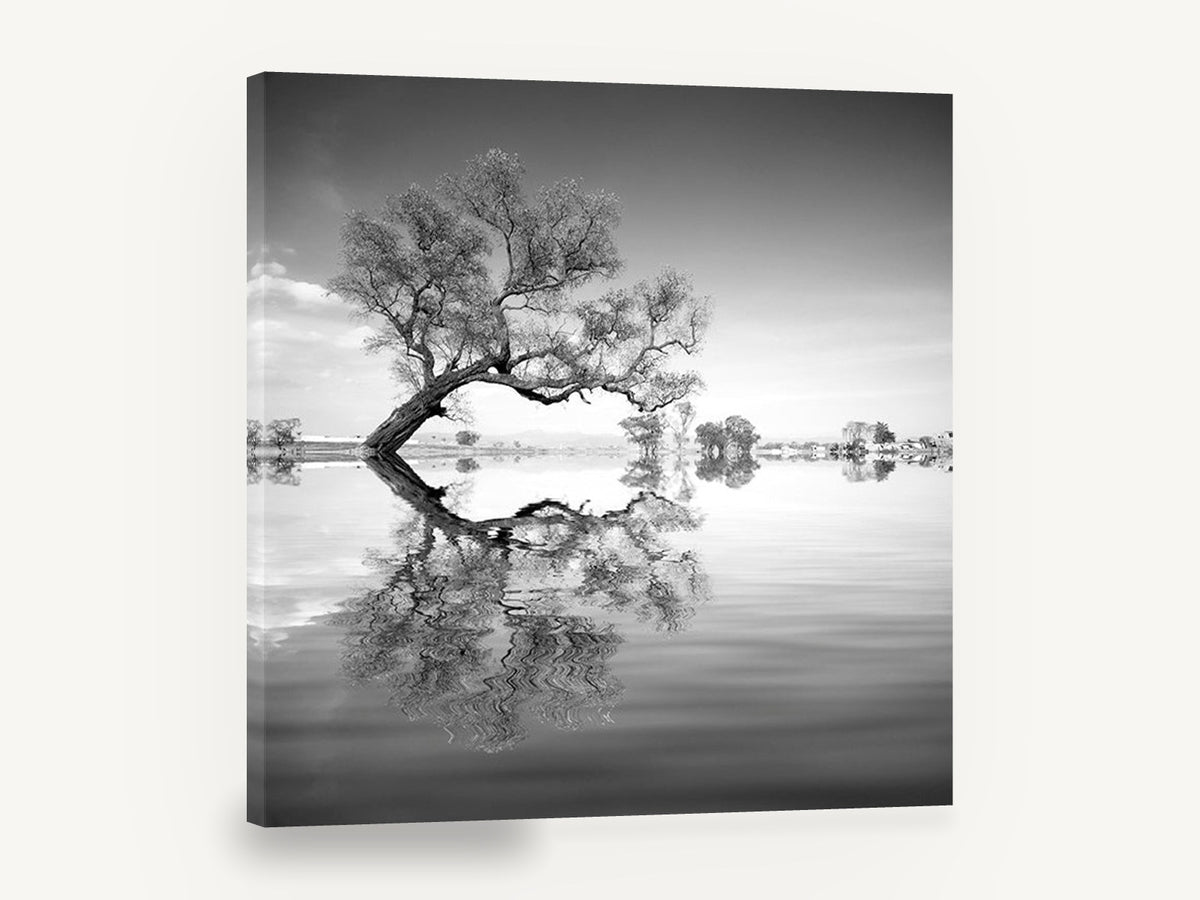 Leaning Tree Mirror, black and white tree reflection photograph, landscape canvas wall art print ready to hang
