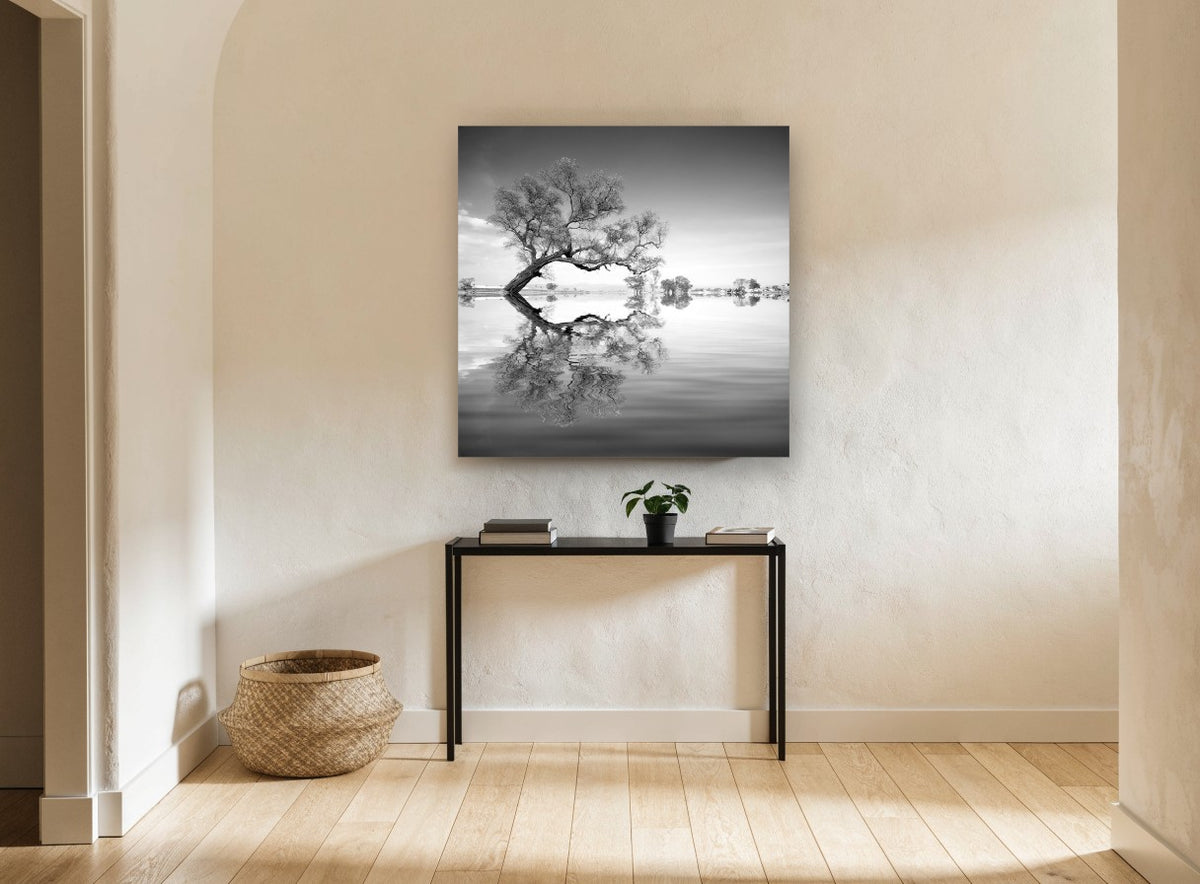 Leaning Tree Mirror landscape canvas print on the wall of a hallway