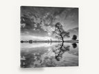 Lone Tree Mirrored, black and white tree reflection photograph, landscape canvas wall art print ready to hang