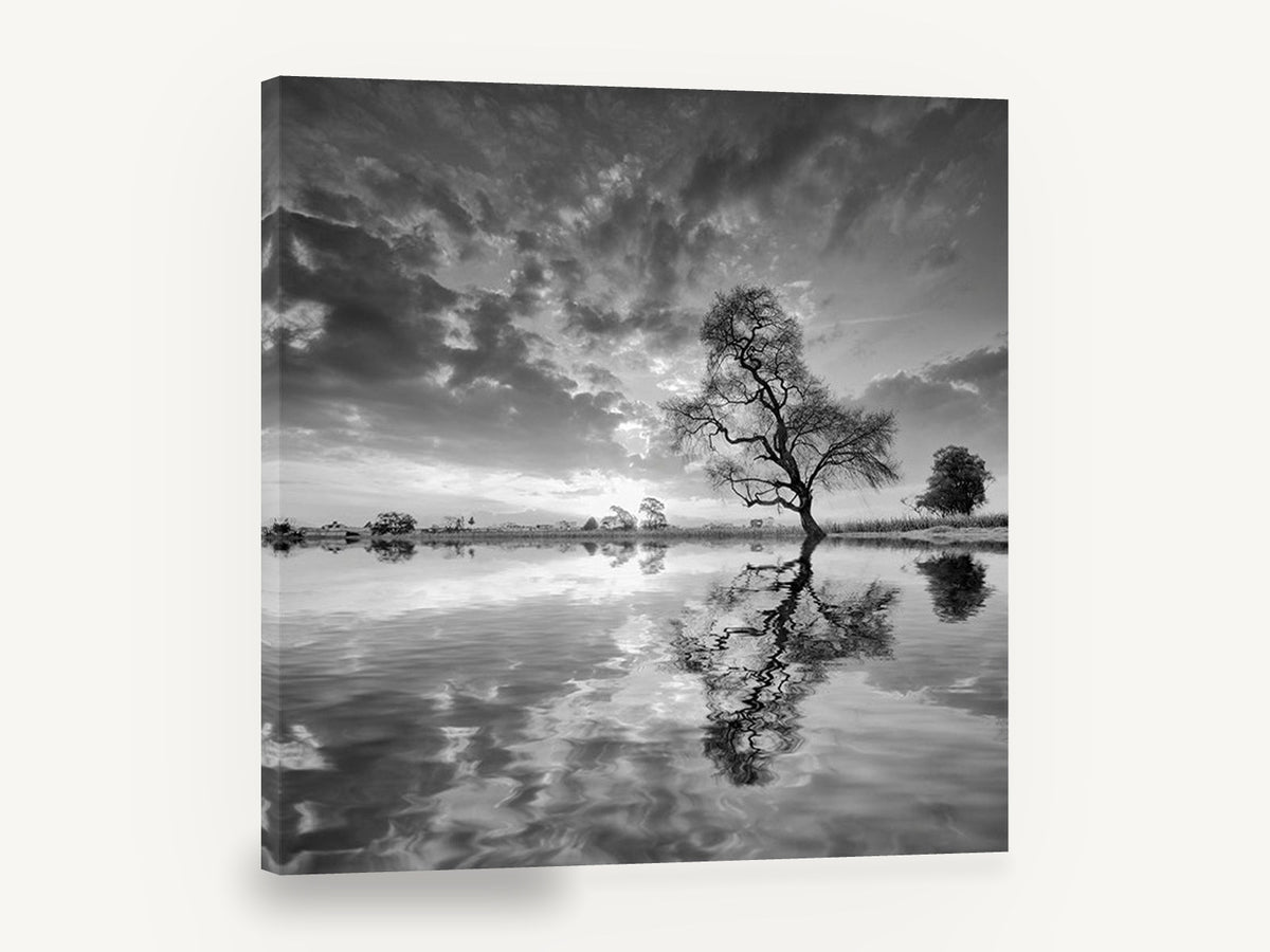 Lone Tree Mirrored, black and white tree reflection photograph, landscape canvas wall art print ready to hang