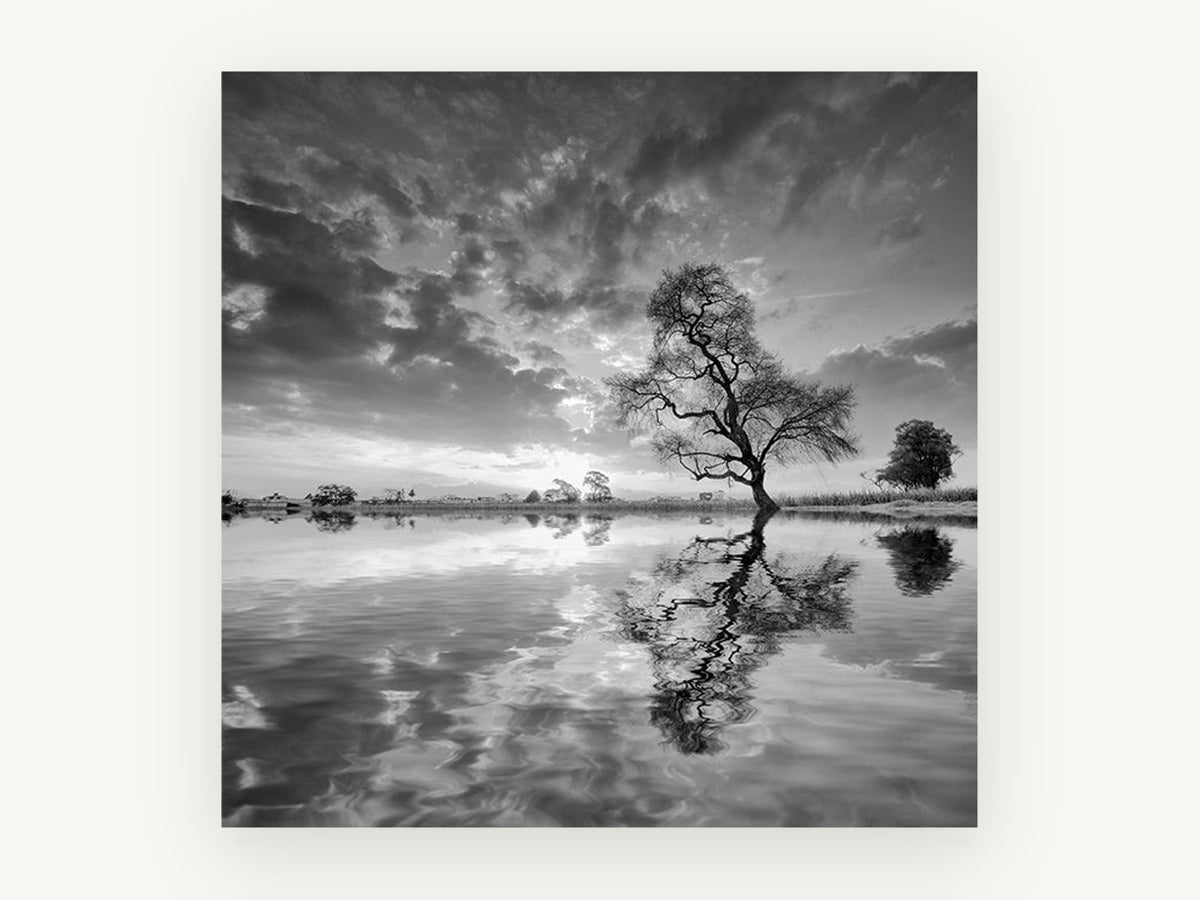 Lone Tree Mirrored, black and white tree reflection photograph, landscape canvas wall art print, front view