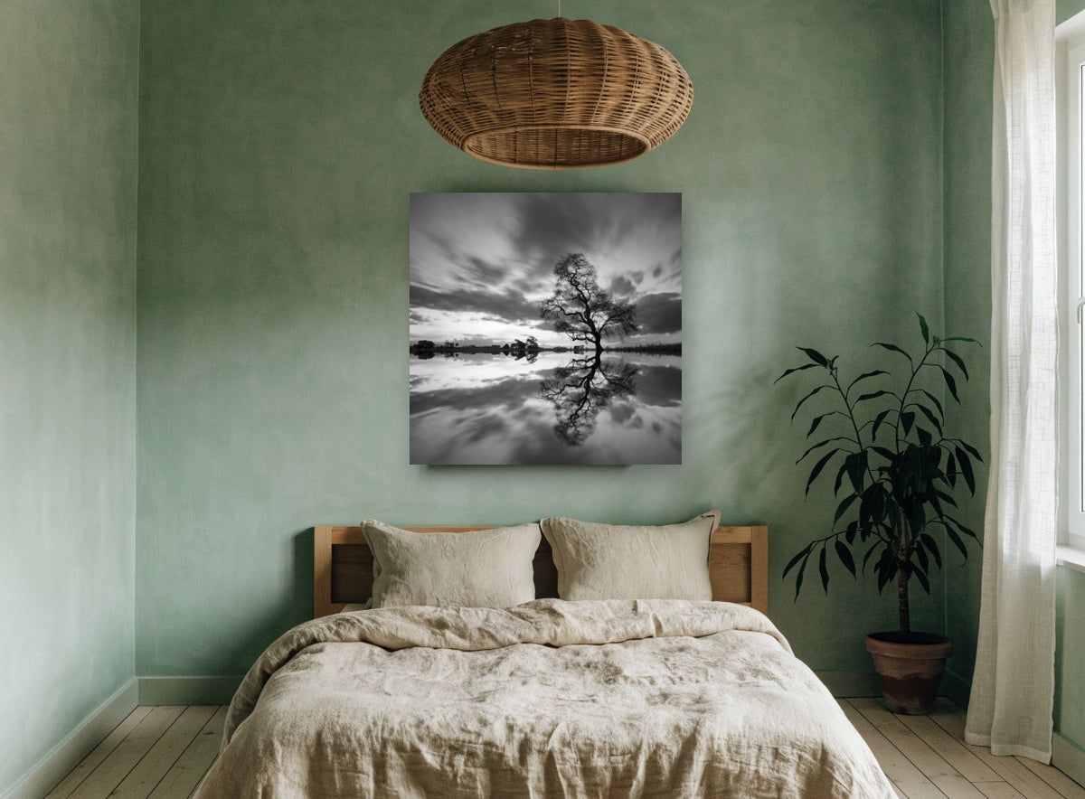 Mirrored Willow Dusk landscape canvas print on the wall of a bedroom