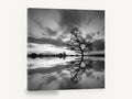 Mirrored Willow Dusk, lone tree water reflection photograph, landscape canvas wall art print ready to hang