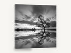 Mirrored Willow Dusk, lone tree water reflection photograph, landscape canvas wall art print ready to hang