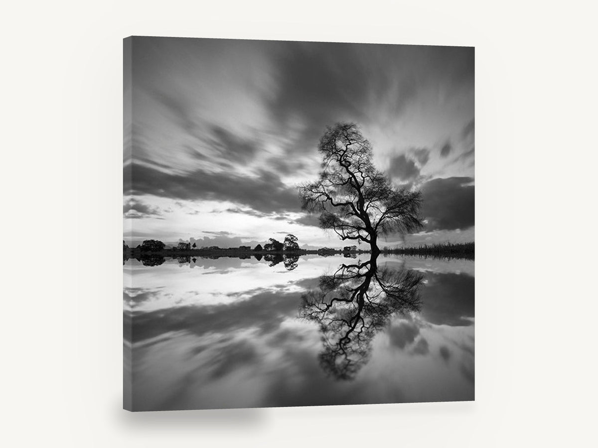 Mirrored Willow Dusk, lone tree water reflection photograph, landscape canvas wall art print ready to hang