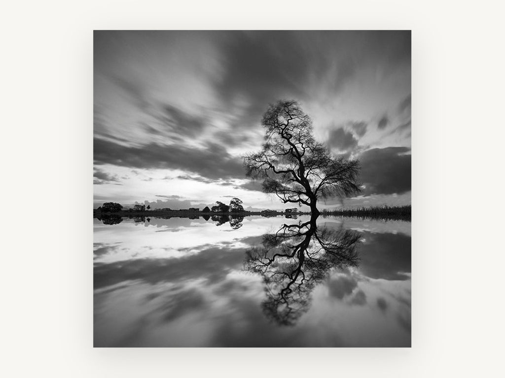 Mirrored Willow Dusk, lone tree water reflection photograph, landscape canvas wall art print, front view