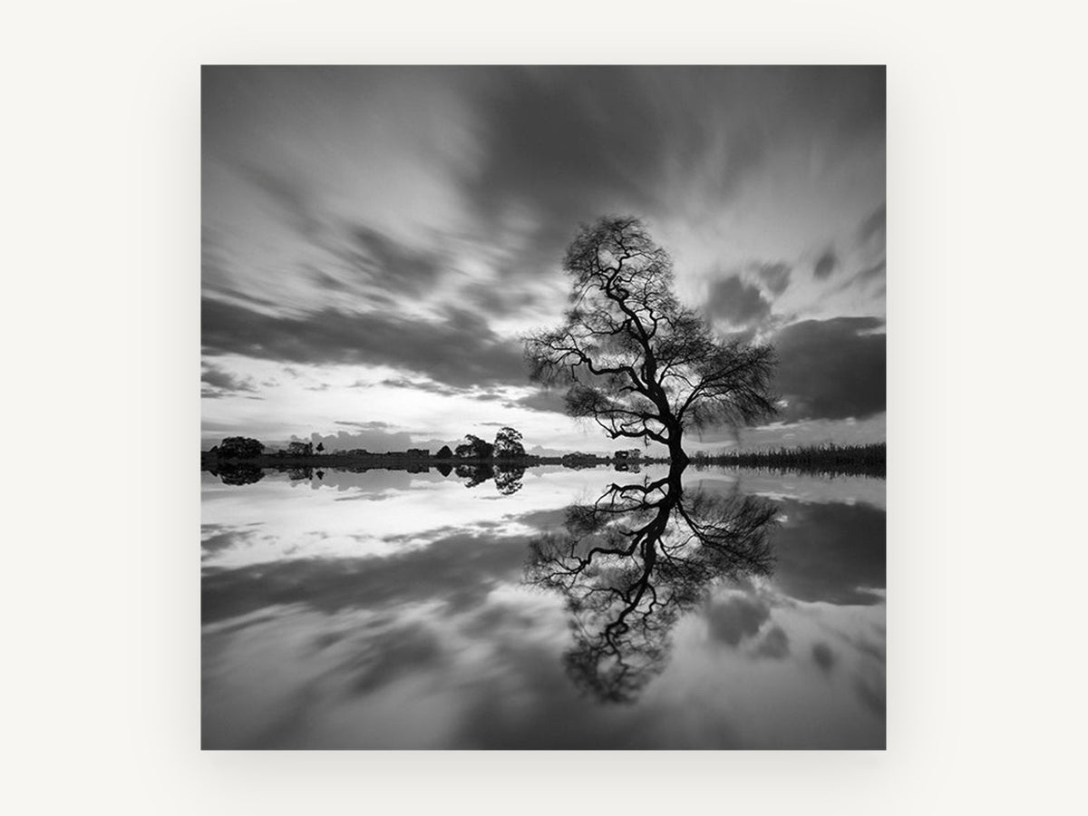Mirrored Willow Dusk, lone tree water reflection photograph, landscape canvas wall art print, front view