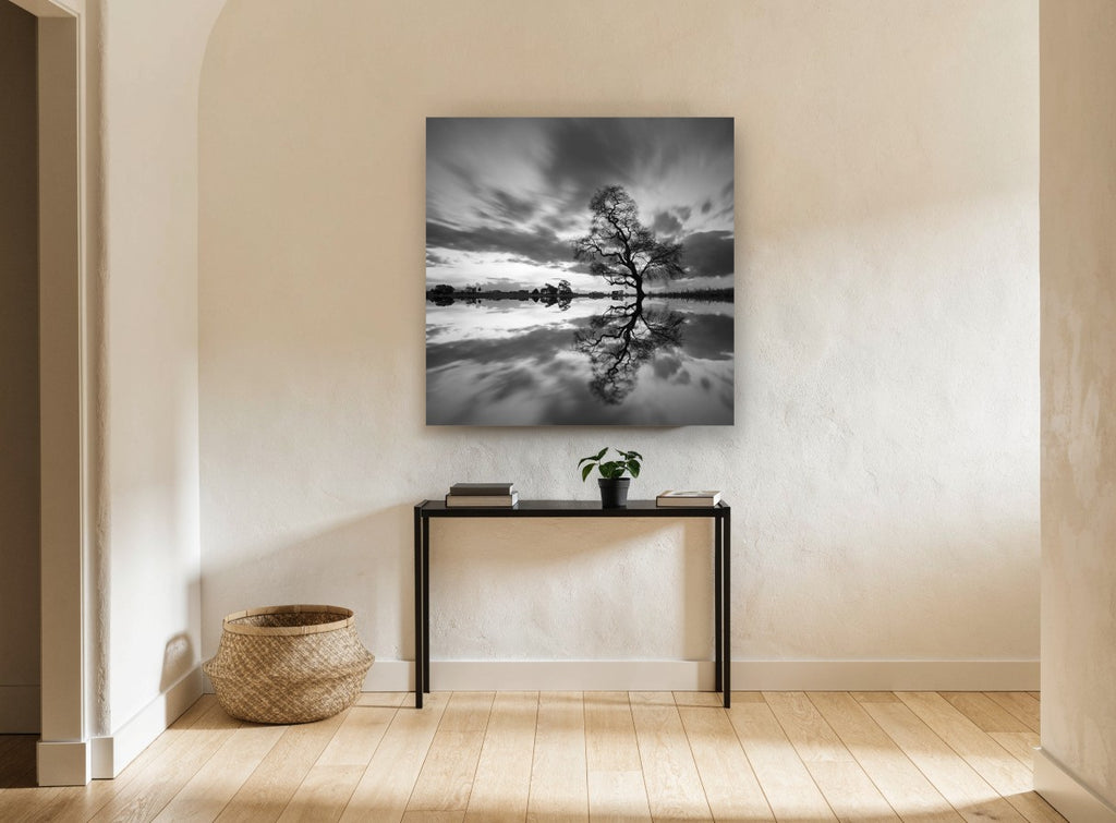 Mirrored Willow Dusk landscape canvas print on the wall of a hallway