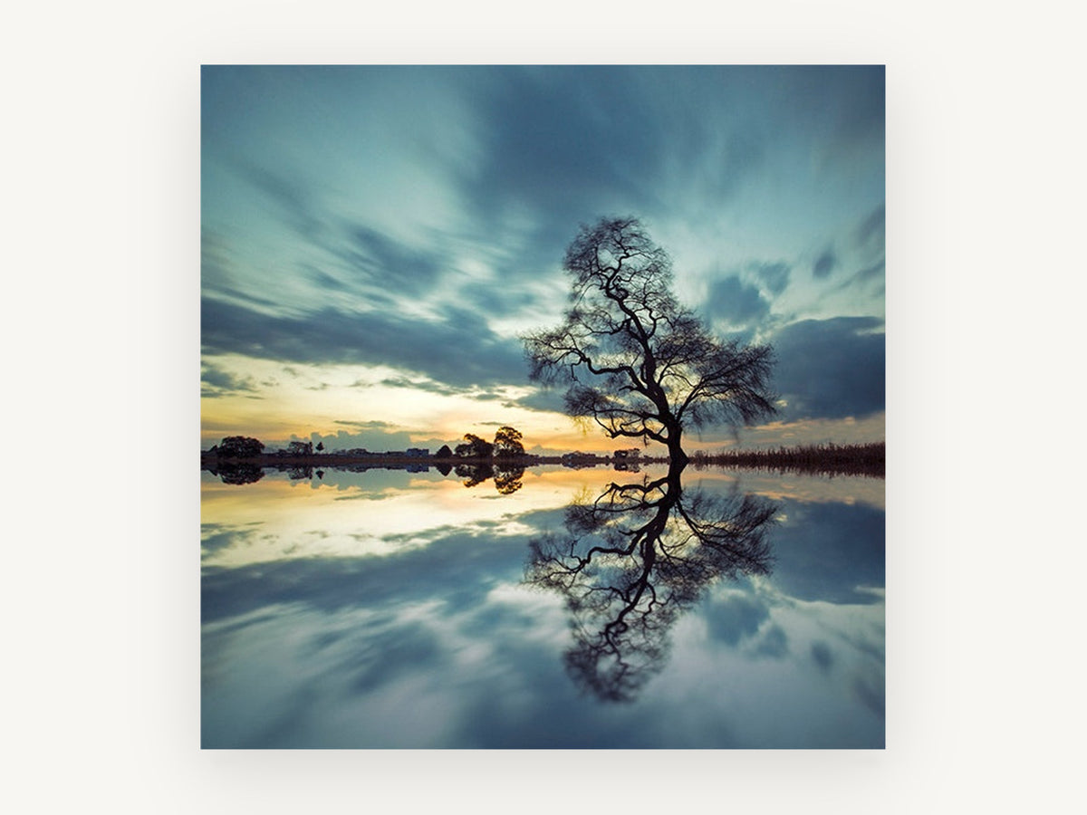 Teal Willow Stillness, lone tree lake reflection photograph, landscape canvas wall art print, front view