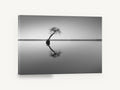 Leaning Tree Reflection, lone tree lake reflection black and white, coastal canvas wall art print ready to hang
