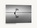 Leaning Tree Reflection, lone tree lake reflection black and white, coastal canvas wall art print ready to hang
