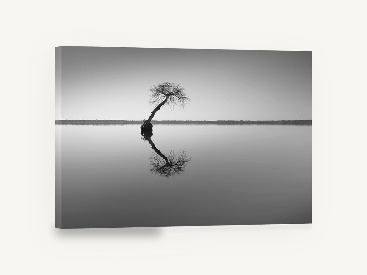 Leaning Tree Reflection, lone tree lake reflection black and white, coastal canvas wall art print ready to hang