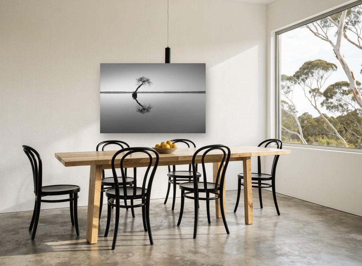 Leaning Tree Reflection coastal canvas print on the wall of a dining room