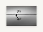 Leaning Tree Reflection, coastal canvas wall art print, front view