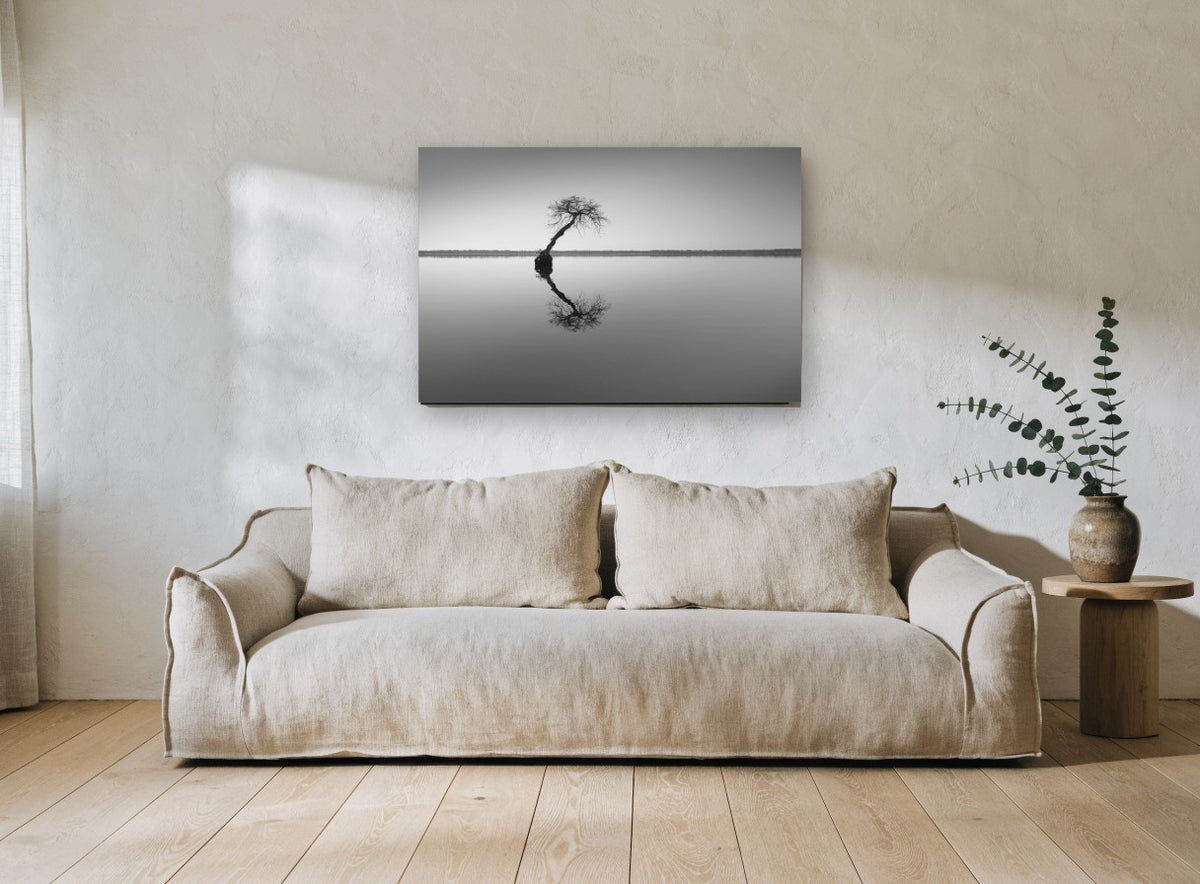 Leaning Tree Reflection coastal canvas print on the wall of a living room