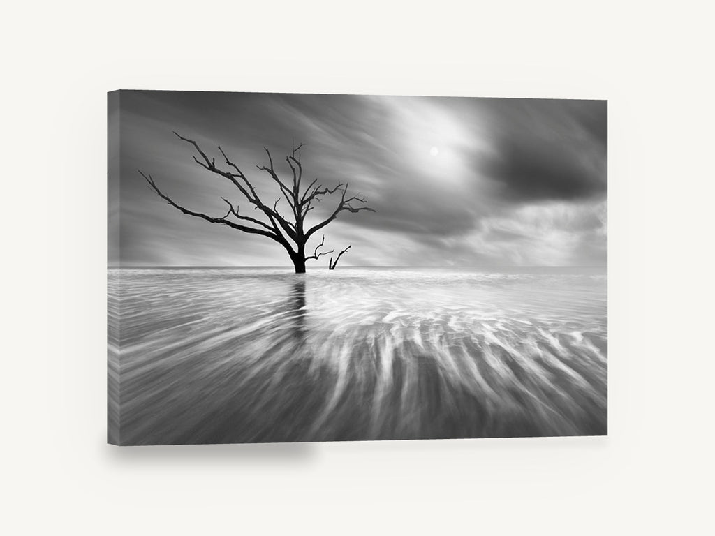 Bare Tree Tidal Flow, bare tree tidal flats black and white photograph, landscape canvas wall art print ready to hang