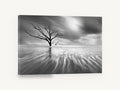 Bare Tree Tidal Flow, bare tree tidal flats black and white photograph, landscape canvas wall art print ready to hang