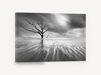 Bare Tree Tidal Flow, bare tree tidal flats black and white photograph, landscape canvas wall art print ready to hang