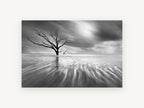 Bare Tree Tidal Flow, bare tree tidal flats black and white photograph, landscape canvas wall art print, front view
