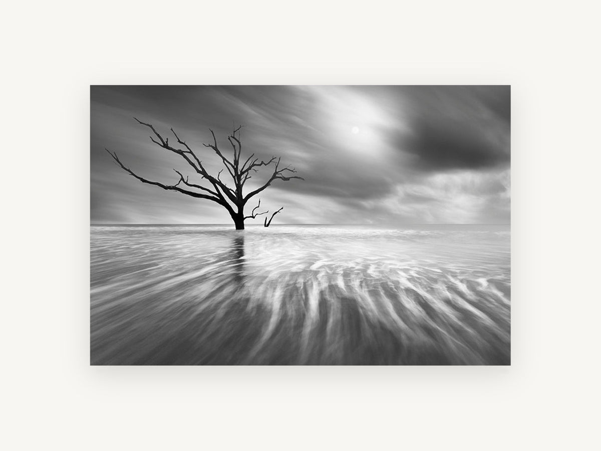 Bare Tree Tidal Flow, bare tree tidal flats black and white photograph, landscape canvas wall art print, front view
