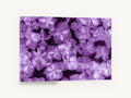 Violet Hydrangea Drift, purple hydrangea petals floral photograph, floral canvas wall art print ready to hang