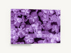 Violet Hydrangea Drift, purple hydrangea petals floral photograph, floral canvas wall art print ready to hang