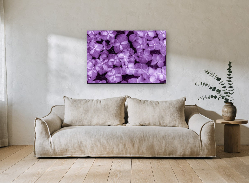 Violet Hydrangea Drift floral canvas print on the wall of a living room