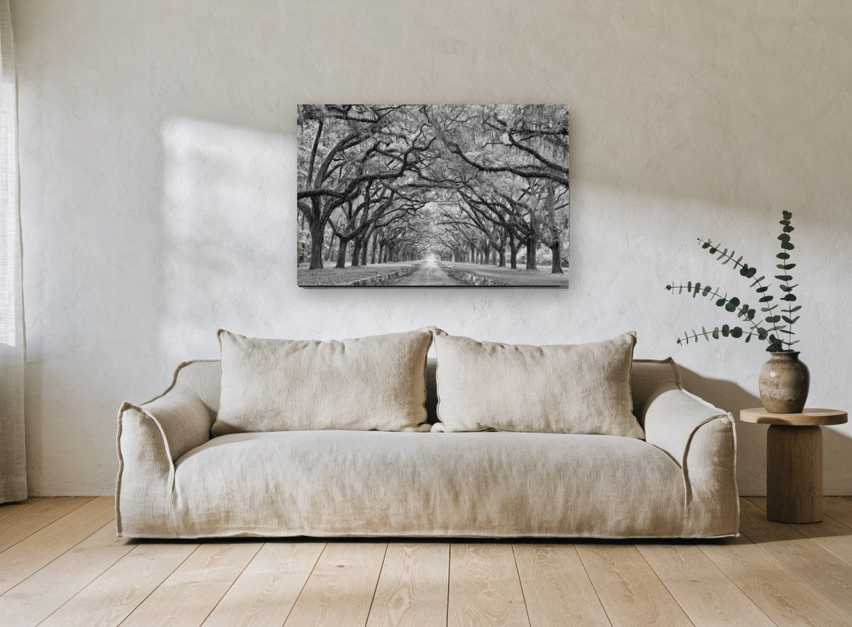 Oak Avenue Hush floral canvas print on the wall of a living room