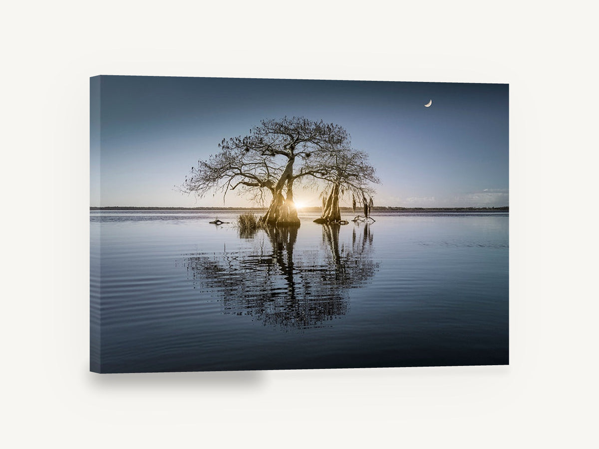 Moonrise Over Still Water, bare trees lake reflection photograph, landscape canvas wall art print ready to hang