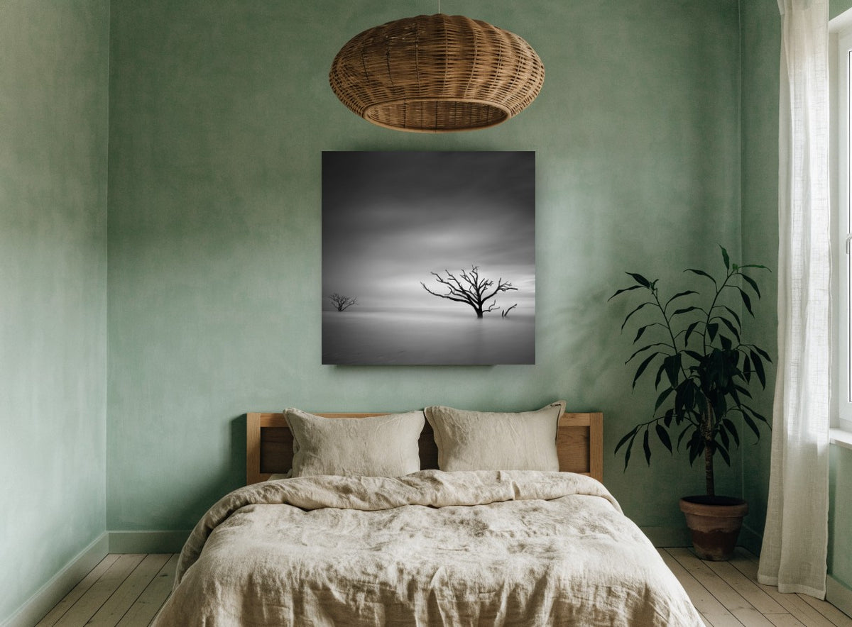 Bare Trees Adrift landscape canvas print on the wall of a bedroom