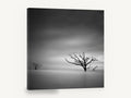 Bare Trees Adrift, black and white dead tree seascape, landscape canvas wall art print ready to hang
