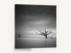Bare Trees Adrift, black and white dead tree seascape, landscape canvas wall art print ready to hang