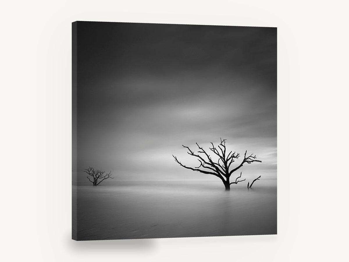 Bare Trees Adrift, black and white dead tree seascape, landscape canvas wall art print ready to hang