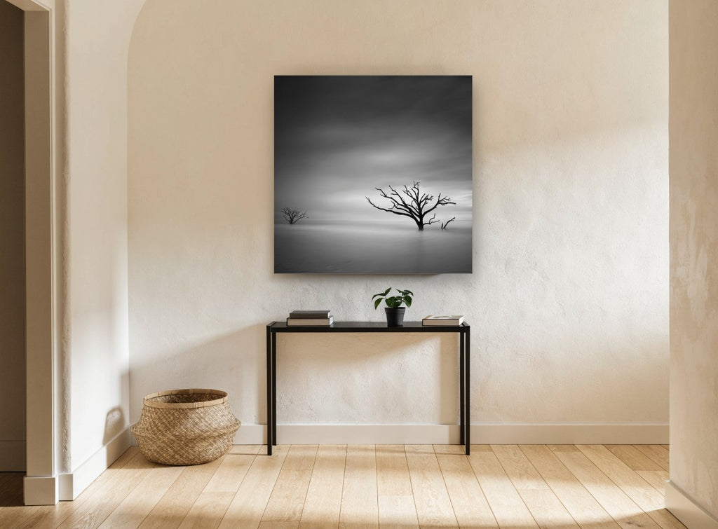 Bare Trees Adrift landscape canvas print on the wall of a hallway